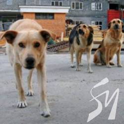 ������� ������� ���������� � ������� ���������� ������ �����������