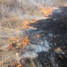Палії приїздять аж зі столиці, щоб влаштовувати пожежі трави на Чернігівщині Палії приїздять аж зі столиці, щоб влаштовувати пожежі трави на Чернігівщині