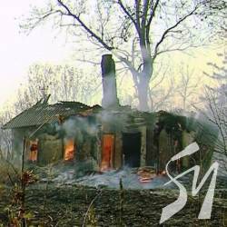  볿 3   107     Life