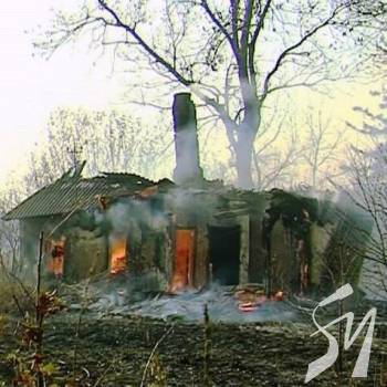  볿 3   107     Life