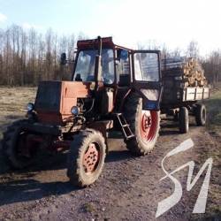 Прикордонники зловили лісорубів-браконьєрів Прикордонники зловили лісорубів-браконьєрів
