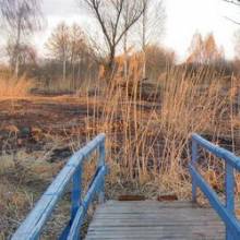 Поліція так і не встановила, хто підпалив очерет на менському озері Поліція так і не встановила, хто підпалив очерет на менському озері