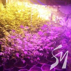 ������ ��������� ������ �����������, ���� ��������� ������� �������