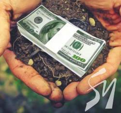 Атрошенко: Продаж землі – це найбільший злочин перед Україною Атрошенко: Продаж землі – це найбільший злочин перед Україною