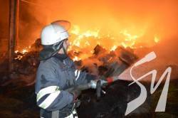 На Чернігівщині у пожежі загинуло двоє чоловіків На Чернігівщині у пожежі загинуло двоє чоловіків