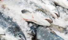 У 2019 році виробництво замороженої морської риби збільшилося на 19% У 2019 році виробництво замороженої морської риби збільшилося на 19%