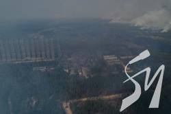 Пожежі у Чорнобильській зоні: стало відомо, які рослини і тварини постраждали Пожежі у Чорнобильській зоні: стало відомо, які рослини і тварини постраждали