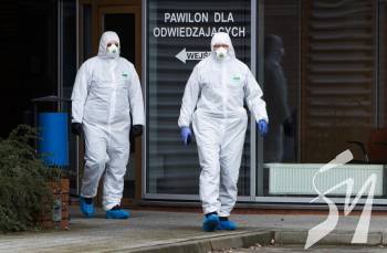  2     650    COVID-19, - 