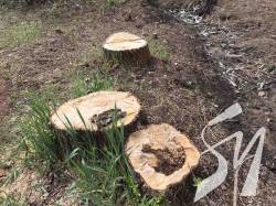 �� ������� ������� ������ ���������, �� �� �����������, ������ ������� ������ ����������