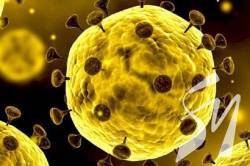 Кожен третій українець вважає, що COVID-19 спеціально розробили і поширили у світі - опитування Кожен третій українець вважає, що COVID-19 спеціально розробили і поширили у світі - опитування