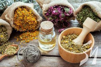 ���� ��������� ��������� ������� ����� � ������� � ������������  