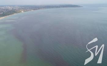 ���� � ���� ����� �������-��������: ������ �'��� �� ������ � ������������ ��� �������. ²���