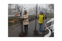 Прибирання для всіх: загальноміський суботник завтра пройде у Чернігові Прибирання для всіх: загальноміський суботник завтра пройде у Чернігові