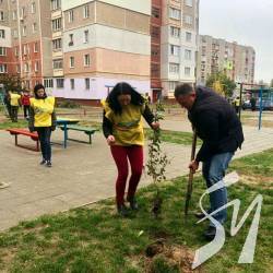 Ярослав КУЦ: турбуємося про зелені насадження Чернігова Ярослав КУЦ: турбуємося про зелені насадження Чернігова