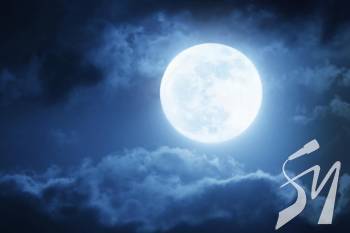 ������ ������� ������� �������� ���������� ��������� ̳����  