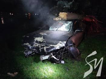 У Чернігові в районі «Танку» водійка Audi врізалася в огорожу та знесла ялину У Чернігові в районі «Танку» водійка Audi врізалася в огорожу та знесла ялину
