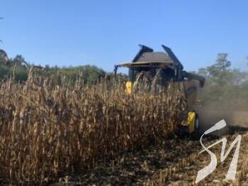 ����� ����������� ������ ����� ��� ������� ���� �����