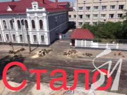 У Чернігові рубали дерева. Два з яких - аварійні У Чернігові рубали дерева. Два з яких - аварійні