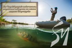 На Чернігівщині закінчилась нерестова заборона вилов водних біоресурсів На Чернігівщині закінчилась нерестова заборона вилов водних біоресурсів