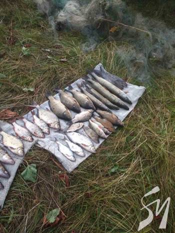 На Новгород-Сіверщині браконьєри незаконно добули понад 20 кілограмів риби На Новгород-Сіверщині браконьєри незаконно добули понад 20 кілограмів риби