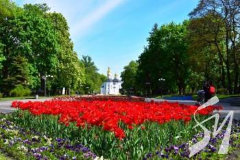 Зеленбуд представив концепцію озеленення Чернігова Зеленбуд представив концепцію озеленення Чернігова