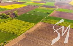 �������� ����������, ������� �� ����������� ��������� ����� 5 ����� ��������� ���� 