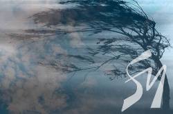 ������ �� ����������� ��������� ���������� ������������� �����