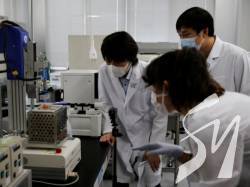 Японські науковці знищили ВІЛ в організмі мавп