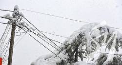 Негода знеструмила 46 населених пунктів Чернігівської області