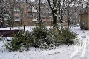 Куди у Чернігові подіти новорічні дерева після свят, щоб вони були використані з користю Куди у Чернігові подіти новорічні дерева після свят, щоб вони були використані з користю