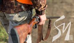 � �������� �������������� ������ ��������