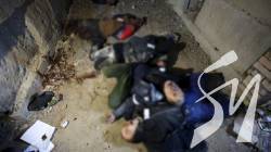 �������������, ��������, �����: ������������� ������� ��� ������ ���� ���� �� � ������