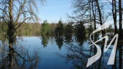 Повінь на Десні: гідрологи фіксують найвищий рівень води за 9 років Повінь на Десні: гідрологи фіксують найвищий рівень води за 9 років