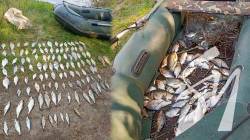 Рибалки з Чернігова за 20 кг риби заплатять державі понад 167 тисяч гривень
