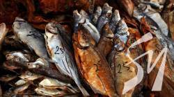 ��� ����������� �������� ������: �������� � ��������� �� �����������