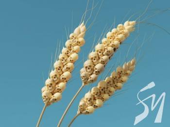 ³��� � ������ ������� ���� ������� �� ���������������� � ����������