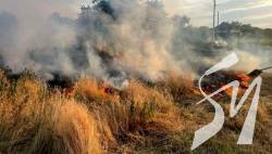 ������� �� �����������: ������� 10 ������� �������, ���������� ������������