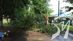 Повалені дерева, підтоплені та знеструмлені вулиці: Прилуками пронісся буревій