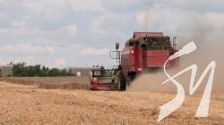Збирають пшеницю, об’їжджаючи воронки від снарядів: як проходять жнива на Чернігівщині Збирають пшеницю, об’їжджаючи воронки від снарядів: як проходять жнива на Чернігівщині
