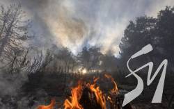 На Сумщині через обстріли росіян виникла лісова пожежа
