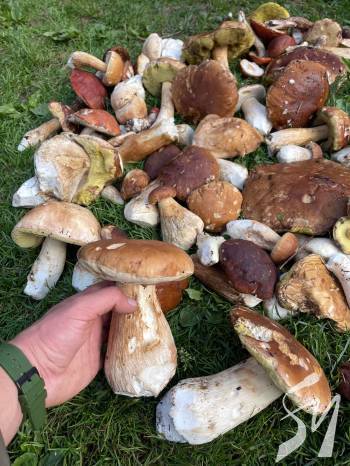 ³� ������� ��������� �������� ������� ��������� �����������, ���� ������ � �� ����� - �� ϳ�