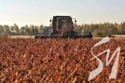 �� ����������� ����� ������ �����, �� ������ � ������