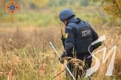 �� ������� ������� �� ����������� �������� 377 ����������������� ��������