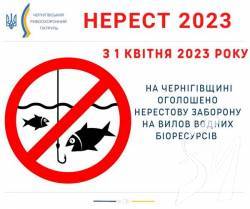 З 1 квітня на Чернігівщині стартує заборона на вилов риби через нерест З 1 квітня на Чернігівщині стартує заборона на вилов риби через нерест