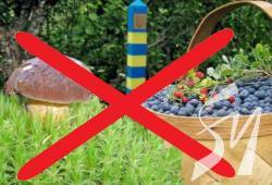 Прикордонники нагадують про заборону відвідування лісів на Чернігівщині Прикордонники нагадують про заборону відвідування лісів на Чернігівщині