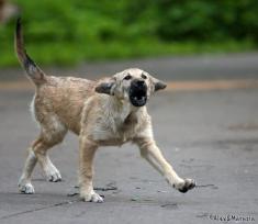 -      ,  ,   .      ,  .